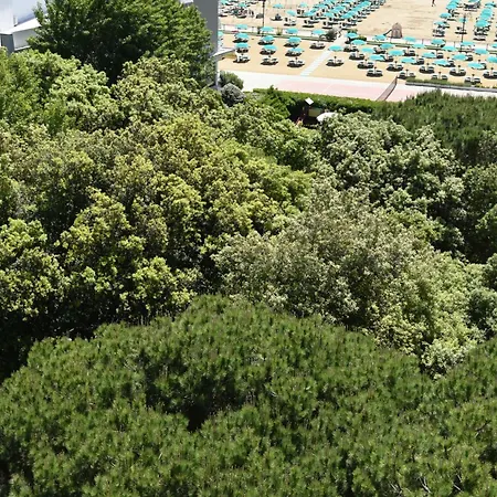 Janeiro Frontemare Lido di Jesolo