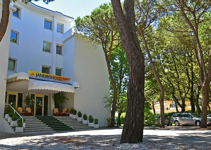 Hotel Janeiro Frontemare 3*