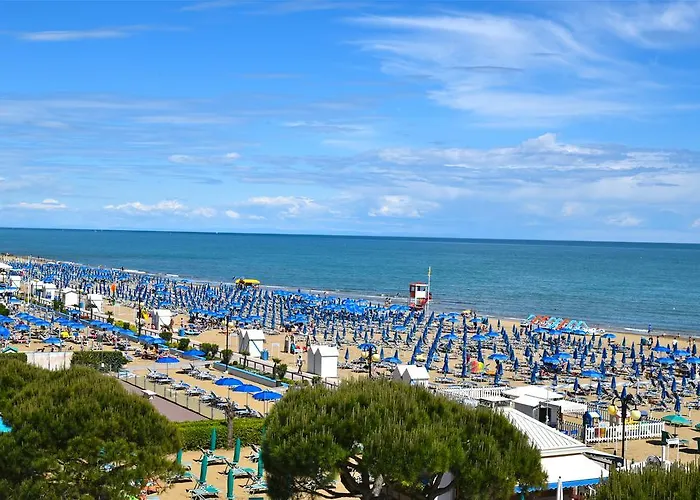 Hotel Janeiro Frontemare 3*