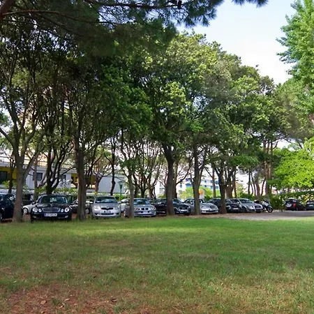 ホテル Janeiro Frontemare リド・ディ・イエゾロ